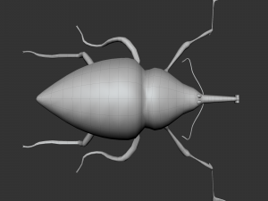 Insect Cytotrahelus Dux Modelo 3D