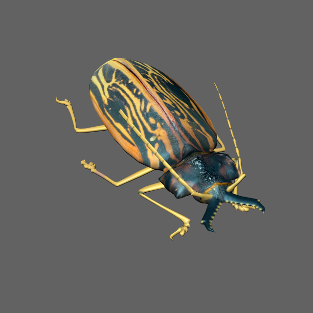 Insect Macrodontia dejeanii 3D Модель .c4d .max .obj .3ds .fbx .stl .blend