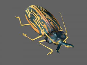 Insect Macrodontia dejeanii 3D Model
