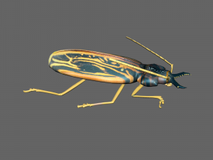 Insect Macrodontia dejeanii 3D Модель