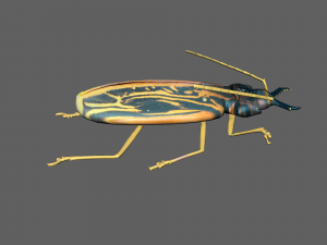 Insect Macrodontia dejeanii 3D Модель