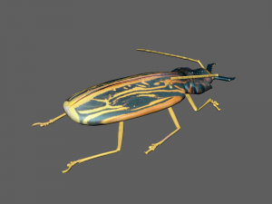 Insect Macrodontia dejeanii 3D Модель