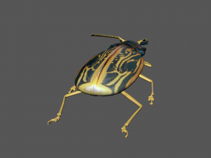 Insect Macrodontia dejeanii 3D Модель