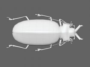 Insect Macrodontia dejeanii 3D Модель