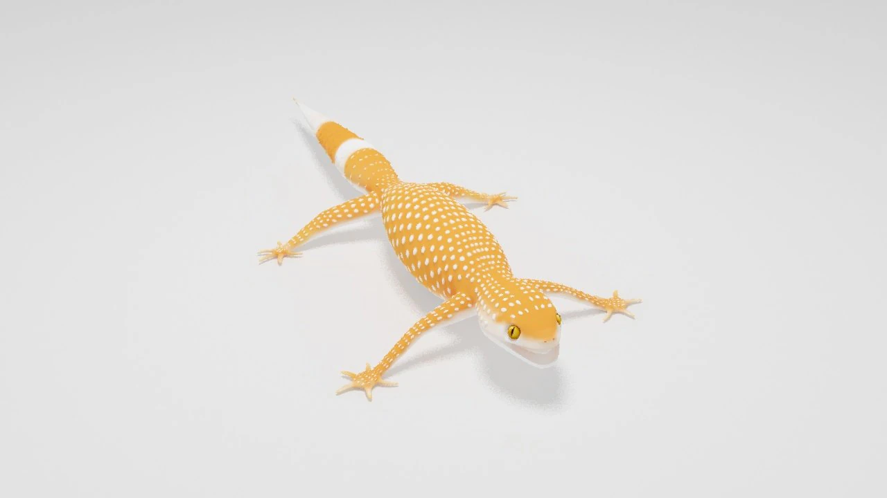 Gecko Lizard Pets 3D Model .c4d .max .obj .3ds .fbx .stl .blend 