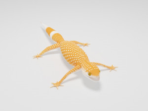 Gecko Lizard Pets 3D Model