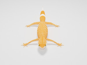 Gecko Lizard Pets 3Dモデル