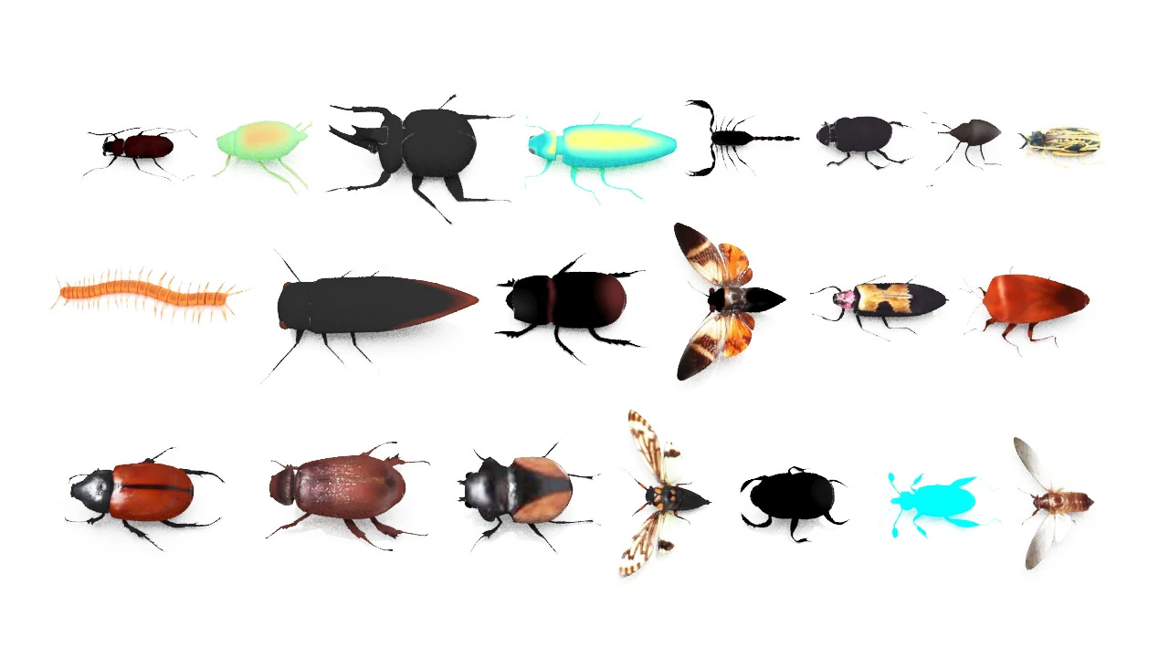 Insect pack all 3D Model .c4d .max .obj .3ds .fbx .stl .blend 