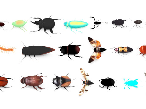Insect pack all 3D Model