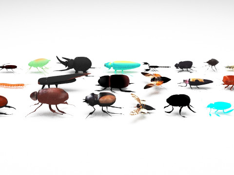 Insect pack all 3D Model