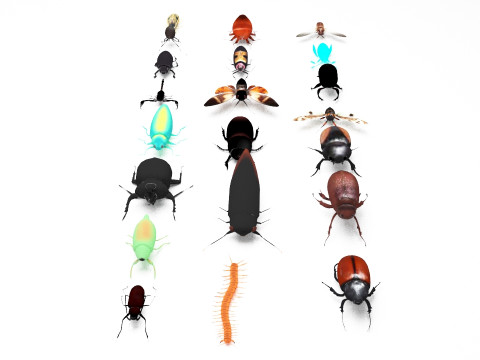 Insect pack all 3D Model