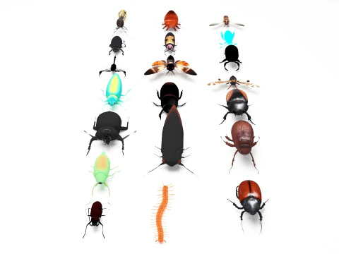 Insect pack all 3D Model