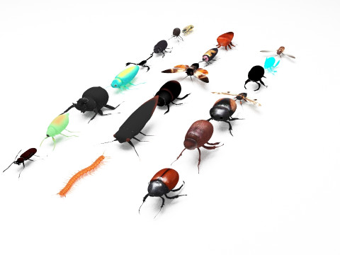 Insect pack all 3D Model