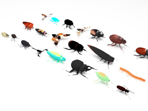 Insect pack all 3D Model