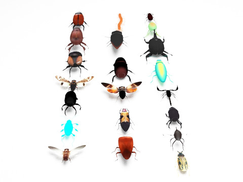Insect pack all 3D Model