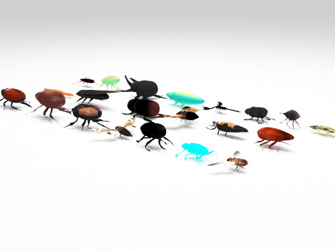 Insect pack all 3D Model