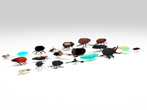 Insect pack all 3D Model