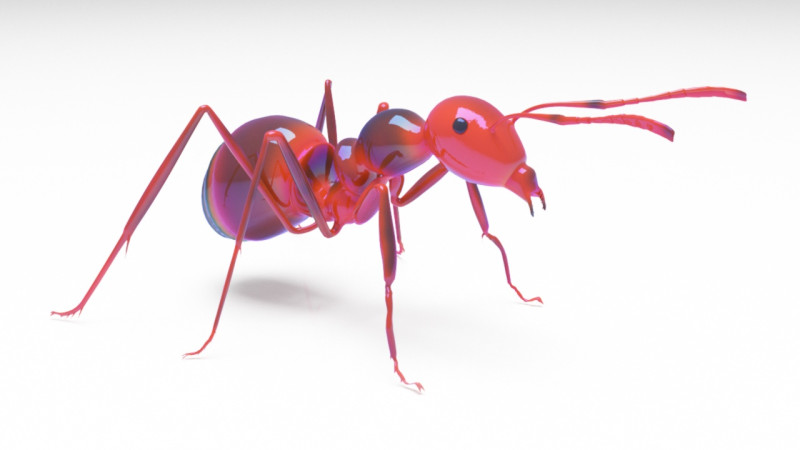 Ant animal 3D Model .c4d .max .obj .3ds .fbx .stl .blend 