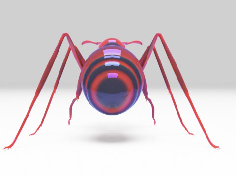 Ant animal 3D Model