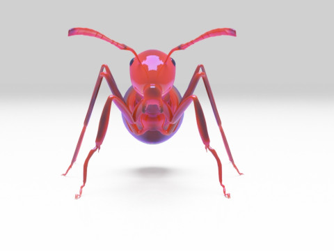 Ant animal 3D Model