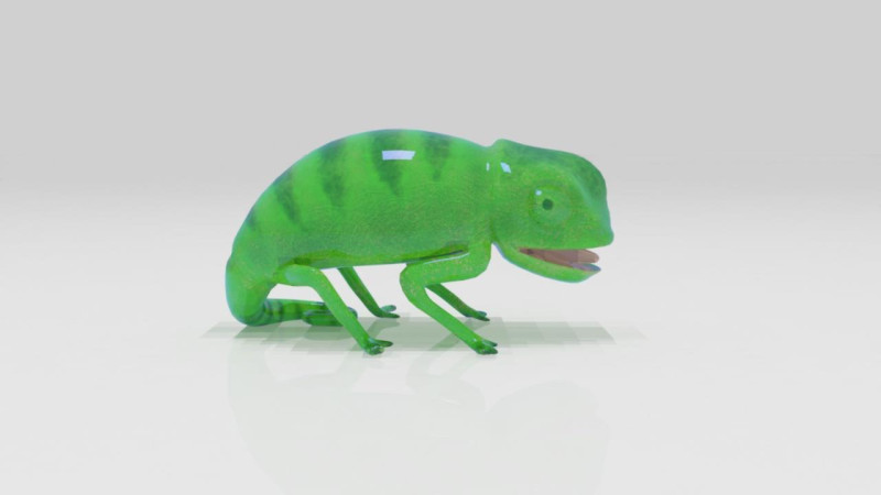 Bunglon Cameleon Reptile Pets 3D Модель .c4d .max .obj .3ds .fbx .stl .blend 