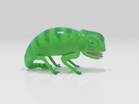 Bunglon Cameleon Reptile Pets Model 3D