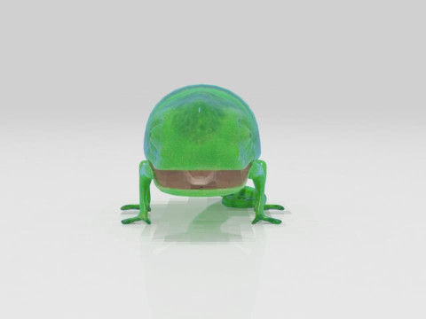 Bunglon Cameleon Reptile Pets 3D Модель