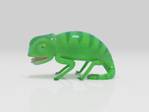 Bunglon Cameleon Reptile Pets 3D Модель