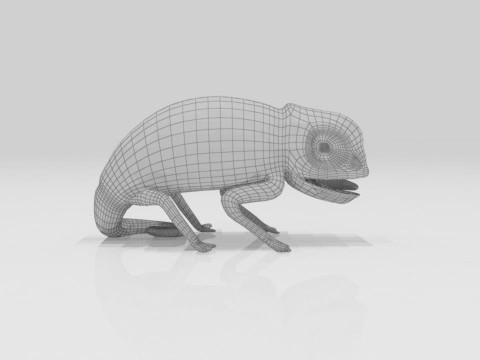 Bunglon Cameleon Reptile Pets 3D Модель