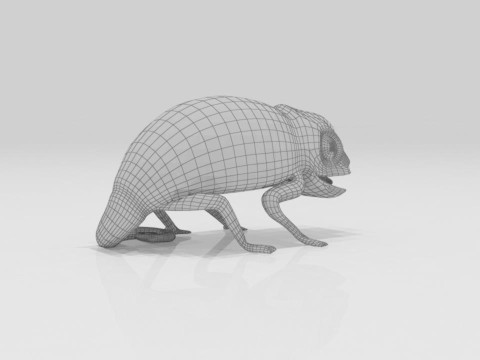 Bunglon Cameleon Reptile Pets 3D Модель
