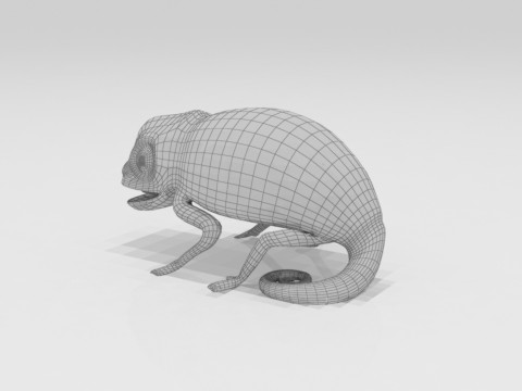Bunglon Cameleon Reptile Pets 3D Модель