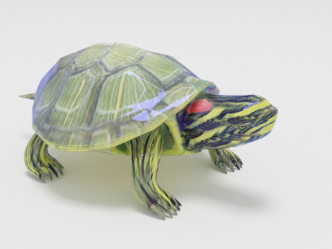 Turtle reptile pets 3D 模型
