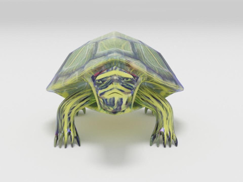 Turtle reptile pets 3D 模型