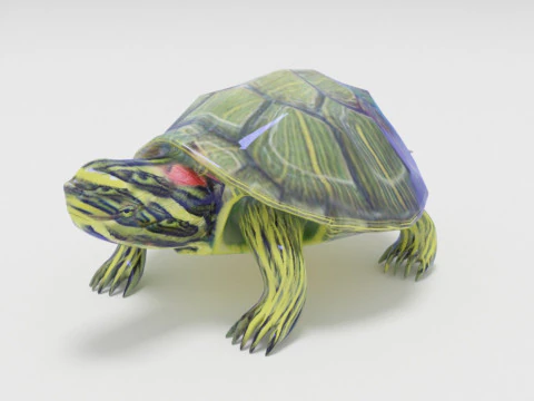 Turtle reptile pets 3D Model