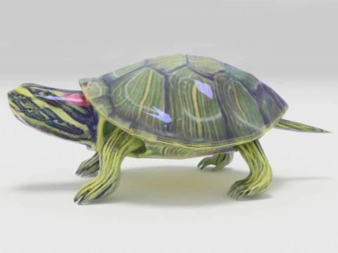 Turtle reptile pets 3D Model