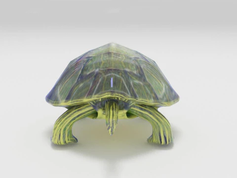 Turtle reptile pets 3D Model