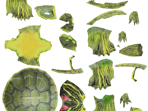 Turtle reptile pets 3D Model