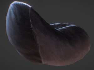bean bag 3D Model