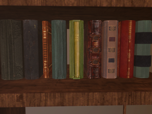 bookshelf 3D Model