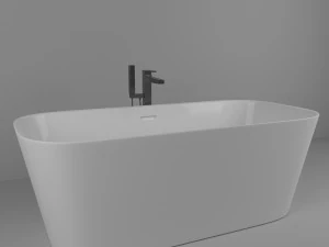 bathtub surfex 3D Model