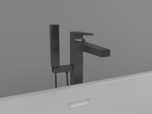 bathtub surfex 3D 모델