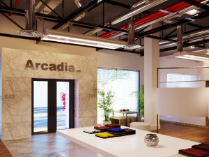 Arcadia store 3D Model