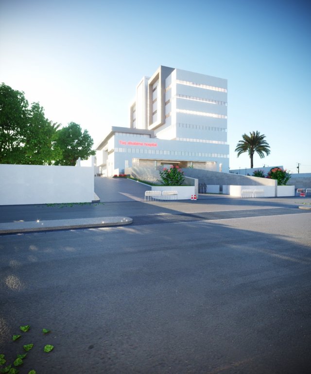 Model of a private hospital Model 3D .c4d .max .obj .3ds .fbx .stl .blend 