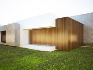 Modern villa 3Dモデル