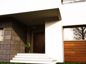 Modern home 3D Модель