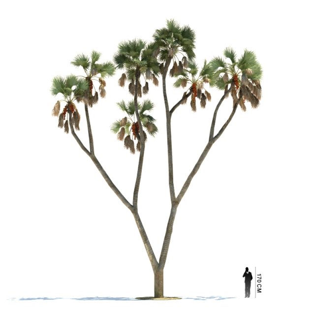 archmodels vol 61 Trees Low-poly and more 3D Model .c4d .max .obj .3ds .fbx .stl .blend 