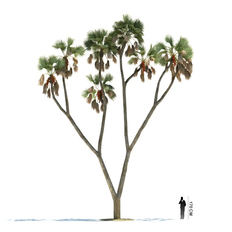 archmodels vol 61 Trees Low-poly and more 3D Model .c4d .max .obj .3ds .fbx .stl .blend 