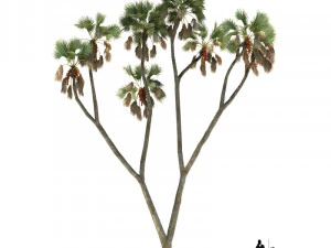 archmodels vol 61 Alberi Low-poly e altro ancora Modello 3D