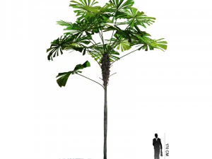 archmodels vol 61 Trees Low-poly and more 3D Model