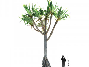 archmodels vol 61 Trees Low-poly and more 3D Model